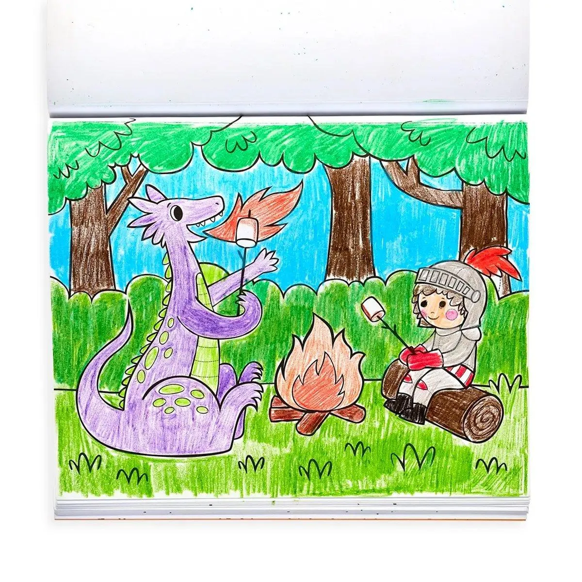 Knights & Dragons Color-in' Book