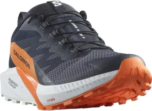 Salomon Sense Ride 5 GTX Trail Running Shoes